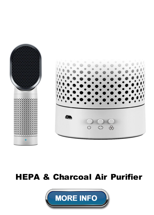 HEPA & Charcoal Air Purifier